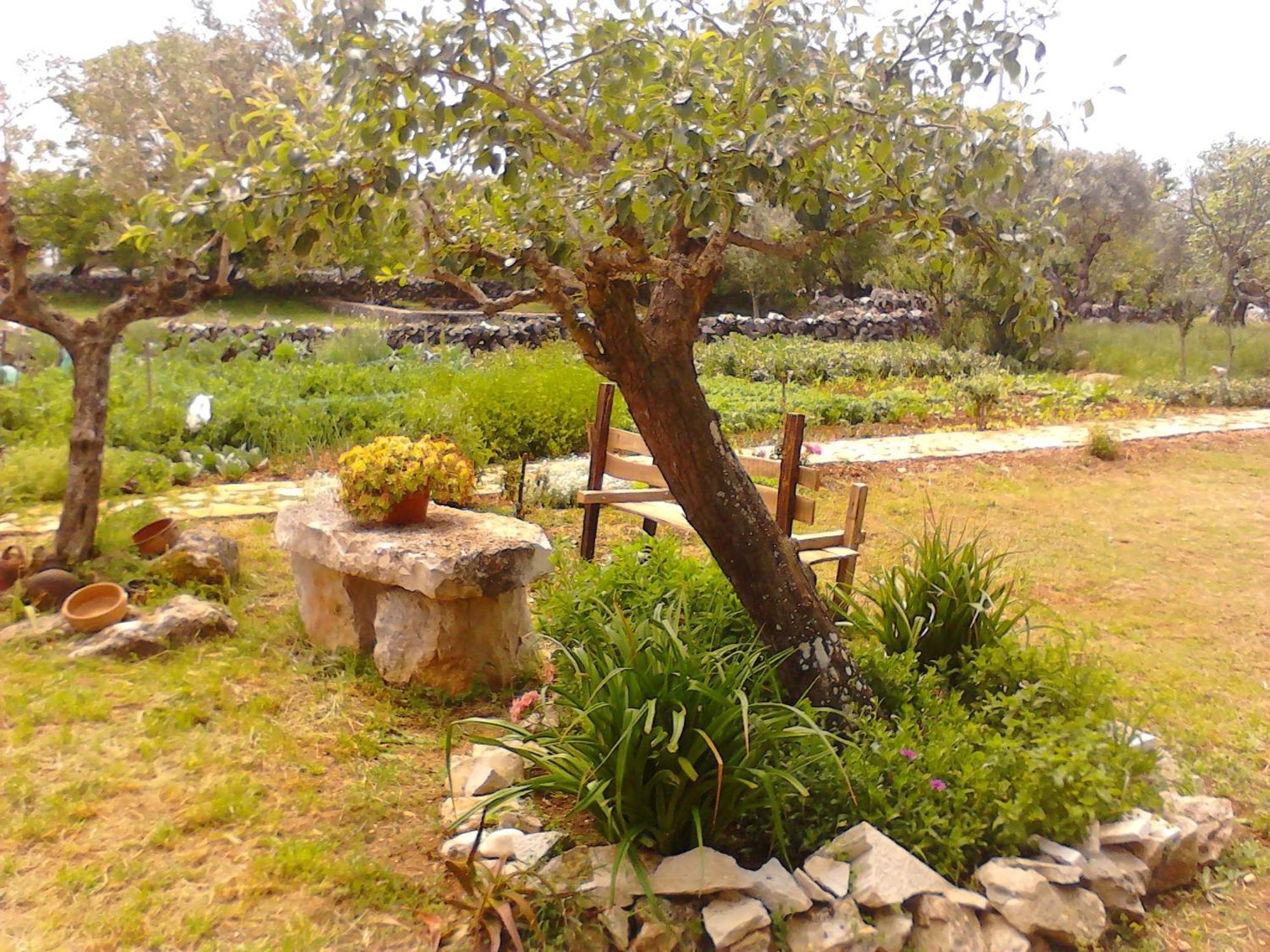 Retiro Da Avo Lidia - Turismo Rural Mendiga Exterior foto